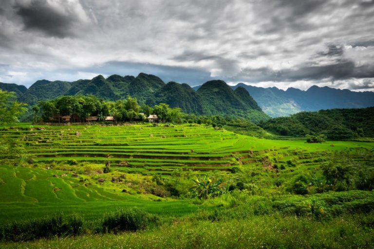 Beautiful rice fields of Pu Luong, close to Hanoi and Mai Chau, north Vietnam